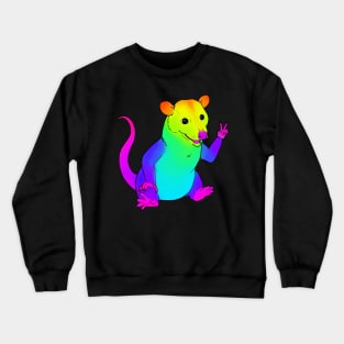 Rainbow Possum Crewneck Sweatshirt